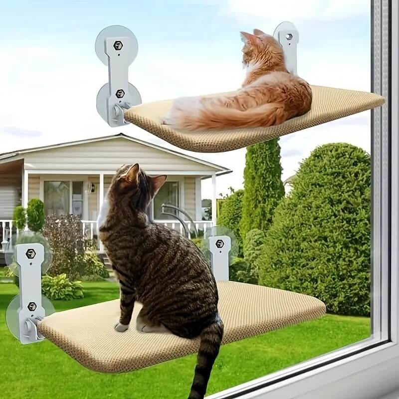 Perfect perch for your cats